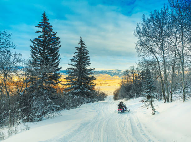 Driving snowmobile in Colorado, USA Driving snowmobile in Colorado, USA Snowmobiling stock pictures, royalty-free photos & images