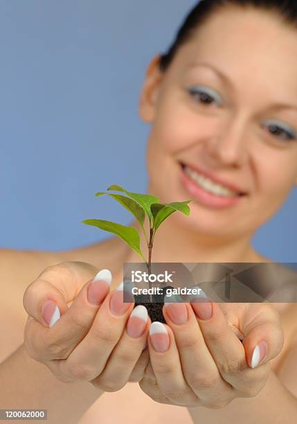女性の手では上質の植物 - 1人のストックフォトや画像を多数ご用意 - 1人, アイデア, オーガニック