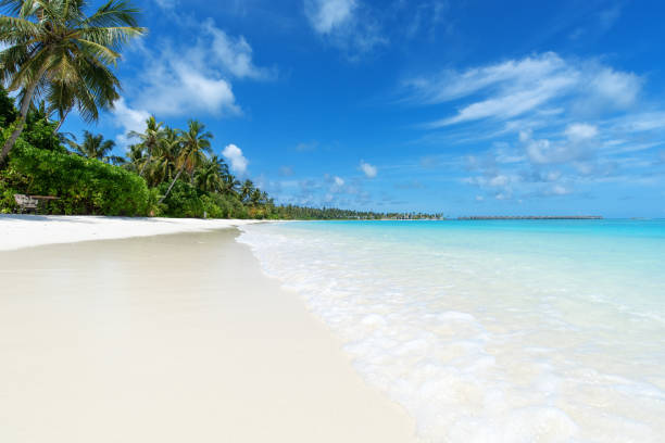 istock Exotic tropical beach scene for background or wallpaper 1200624142