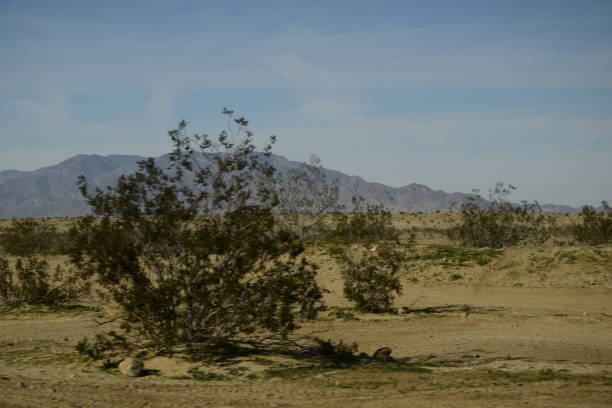 istock Shrubs Surrounded By Vast Desert Against Tall Mountain And Hazy Blue Sky 1200625124