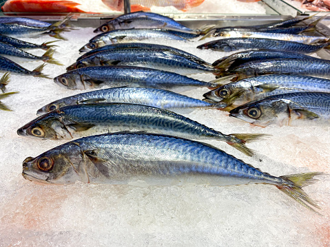 Yellowtail scads, Atule mate, put up for sale at a market stall in the central Chow Kit market in the center of the Malaysian capital Kuala Lumpur