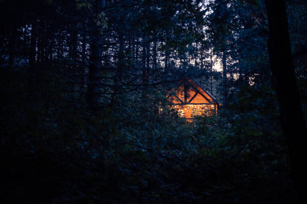 Warm light in a wood cabin seen from woods