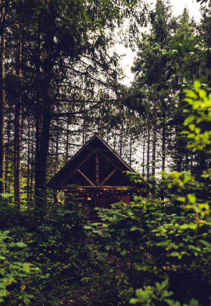 Warm light in a wood cabin seen from woods