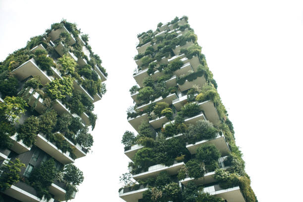 istock Trees grow on the balconies 1200634727
