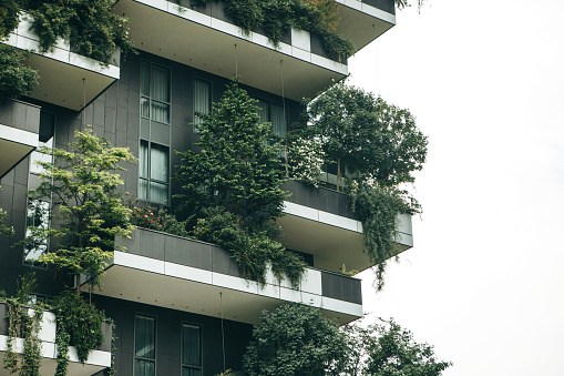 Trees grow on the balconies of a residential building. The environment and everyday life.