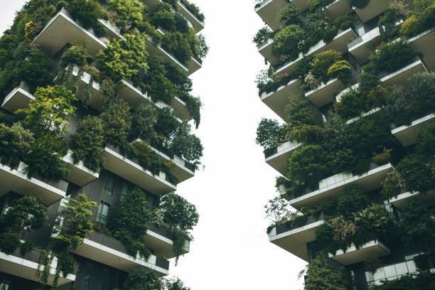 istock Trees grow on the balconies 1200634775