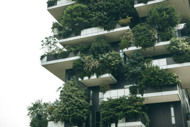 istock Trees grow on the balconies 1200634790