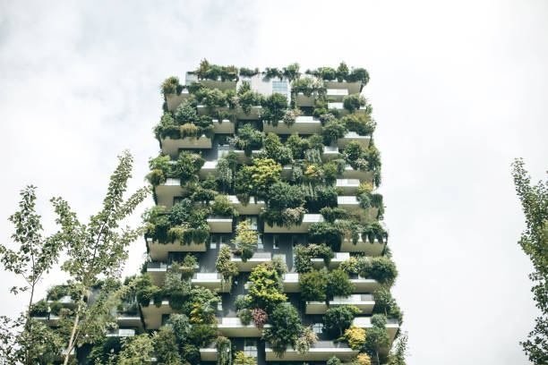 istock Trees grow on the balconies 1200634958