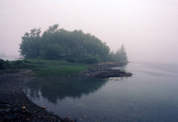 parque nacional acadia - escolódico na neblina - 1985 - 1985 - fotografias e filmes do acervo