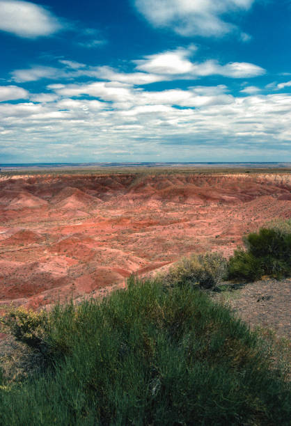 Petrified Forest National Park - Painted Desert Vertical - 1990