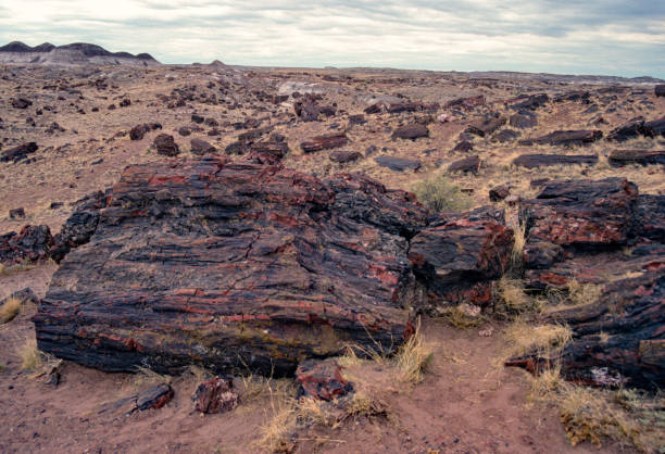 Petrified Forest National Park - Fragmented Landscape - 1990