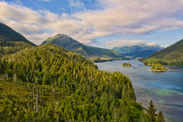 Aerial above the Lisianski Strait in Southeast Alaska in summer with clouds - fotografia de stock