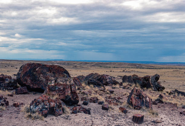 Petrified Forest National Park - Distant Storm Clouds - 1990