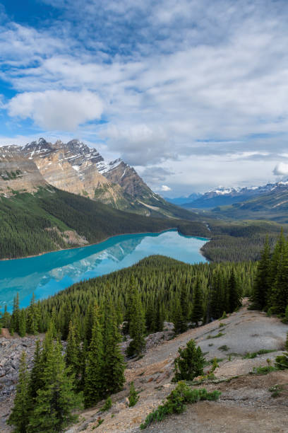 istock Peyto Lake, Rocky Mountains, Canada 1200644729