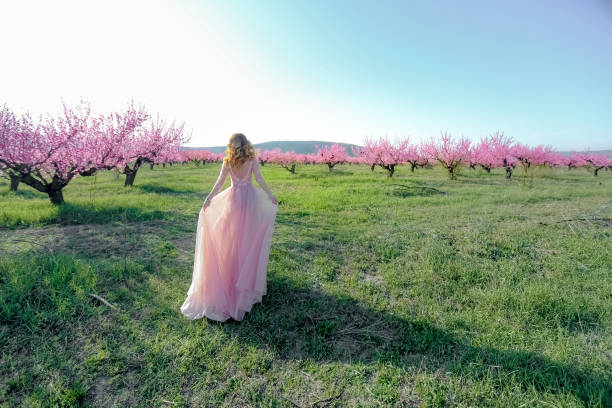 una joven vestida con un vestido rosa largo camina en un jardín floreciente con melocotones - bride women standing beauty in nature fotografías e imágenes de stock