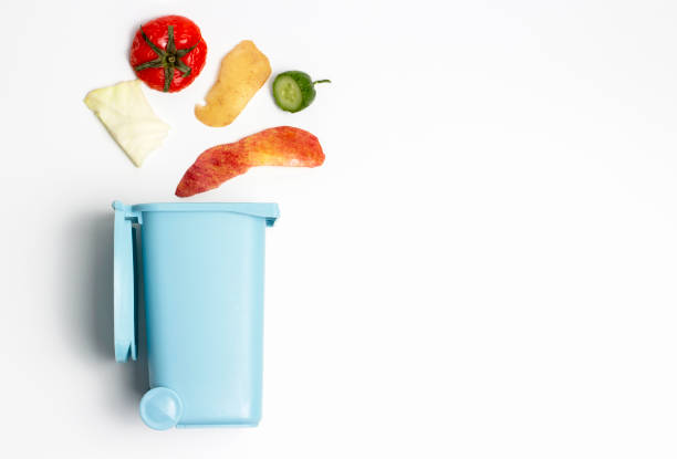 istock Organic waste and trash can on white background, the concept of garbage sorting 1200649217