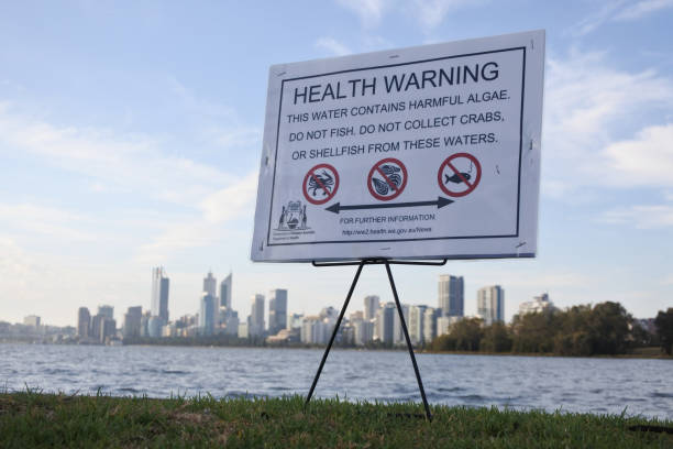 Health Warning sign that water contains harmful Algae Perth, Western Australia - December 25 2019: Health Warning sign that water contains harmful Algae in Swan River Perth.Algae-affected water may not be suitable for drinking, recreation or agricultural use. algal bloom stock pictures, royalty-free photos & images