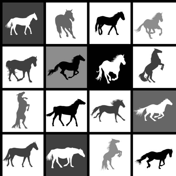Set of 16 horses background. Each horse is grouped on separate background Set of 16 horses background. Each horse is grouped on separate background mustang stock illustrations