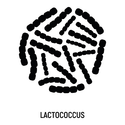 ラクトコッカスアイコンプロバイオティクスコンセプトロゴとラベル健康研究のシンボルアイコンとバッジシンプルとブラックベクターのイラスト
