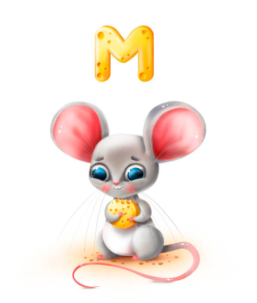 ilustrações de stock, clip art, desenhos animados e ícones de cute cartoon mouse holds cheese on a white background - cartoon chef mouse rat