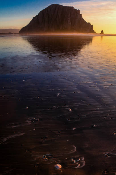 istock Morro Bay, CA Rock with Sand Dollar 1200662028