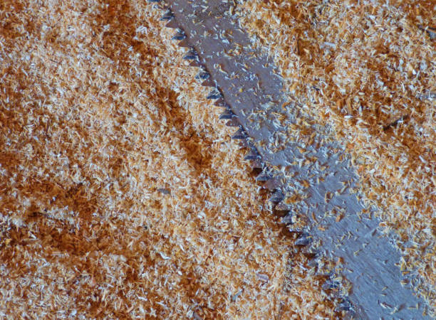 istock Sawdust surface - lot of wooden 1200664468
