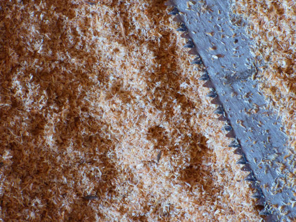 istock Sawdust surface - lot of wooden 1200664471