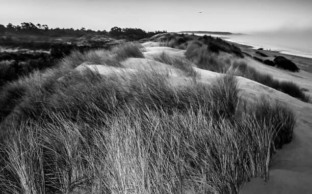 istock Dune in Oceano, Ca Band W 1200666213