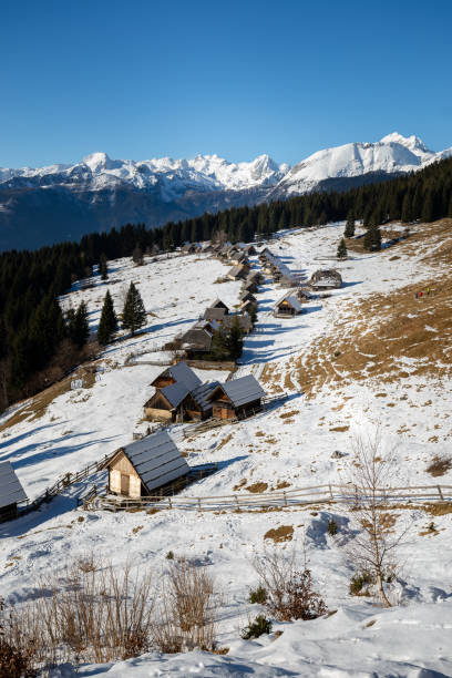 istock Zajamniki, Pokljuka, Slovenia 1200666217