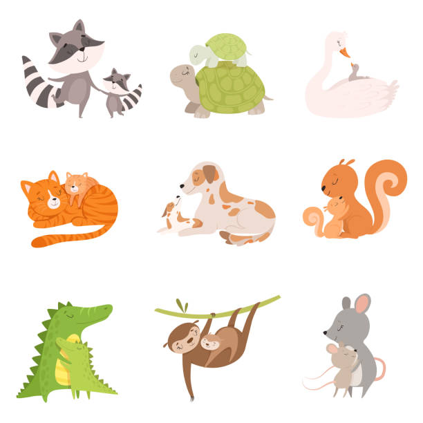 37 Dead Squirrel Illustrations & Clip Art - iStock | Roadkill, Squirrel  tail, Dead animal