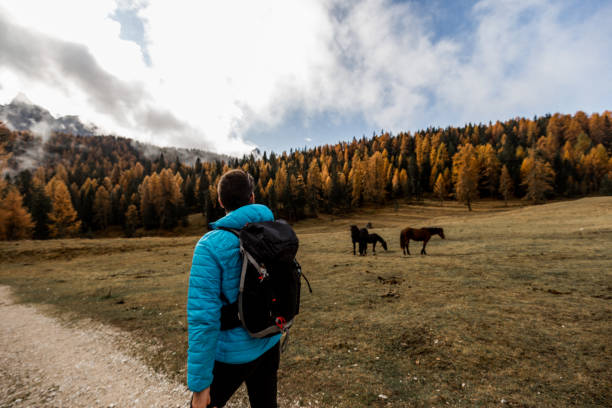 istock Traveling and hiking 1200666361