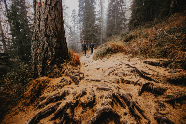 istock Couple hiking in the Dolomites 1200666662