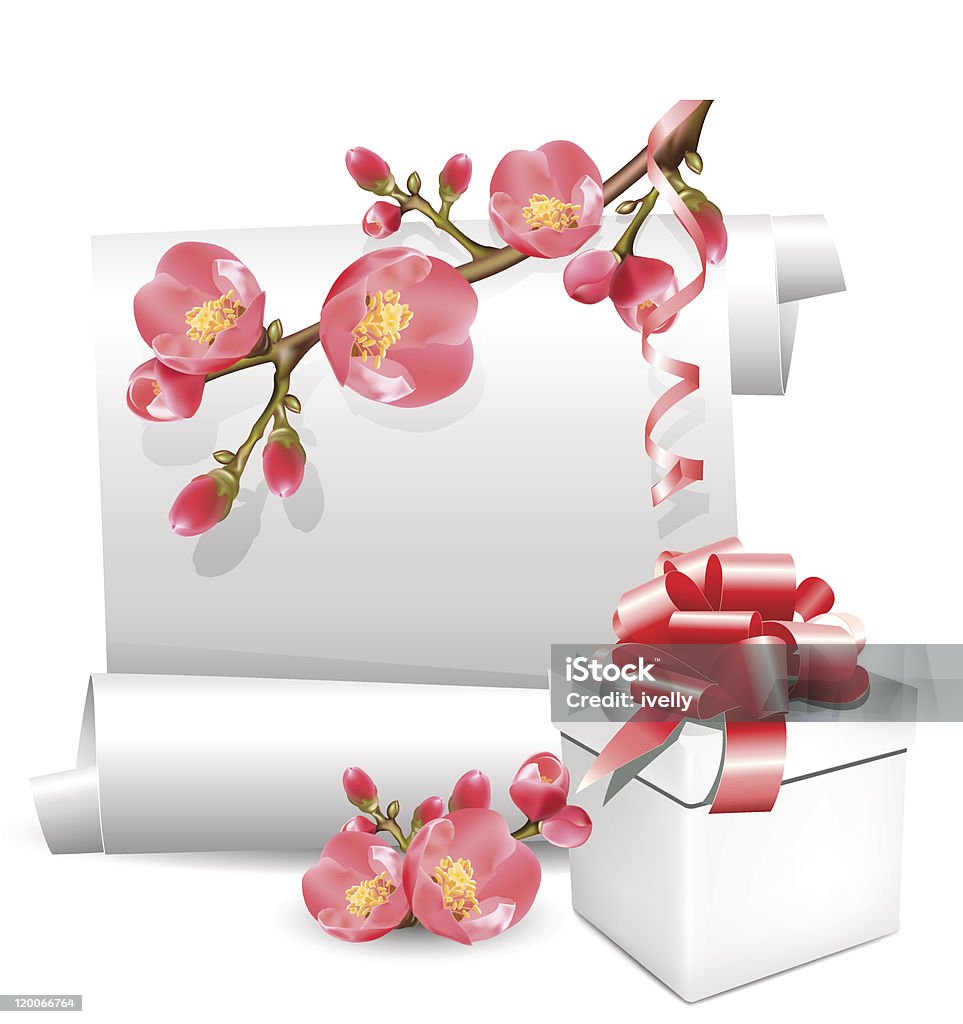 Vector gift spring  scroll with flowering quince and present. Backgrounds stock vector