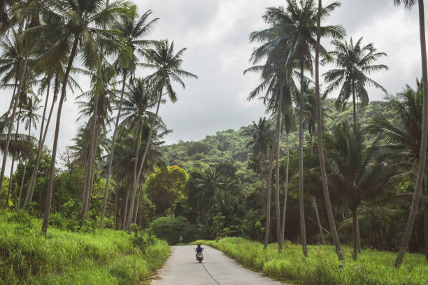 istock Riding scooter through jungles in Thailand, Koh Samui 1200668022