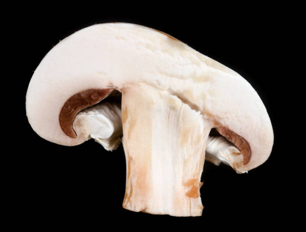 istock Al fresh champignon  mushroom half slice. Isolated on black 1200669080