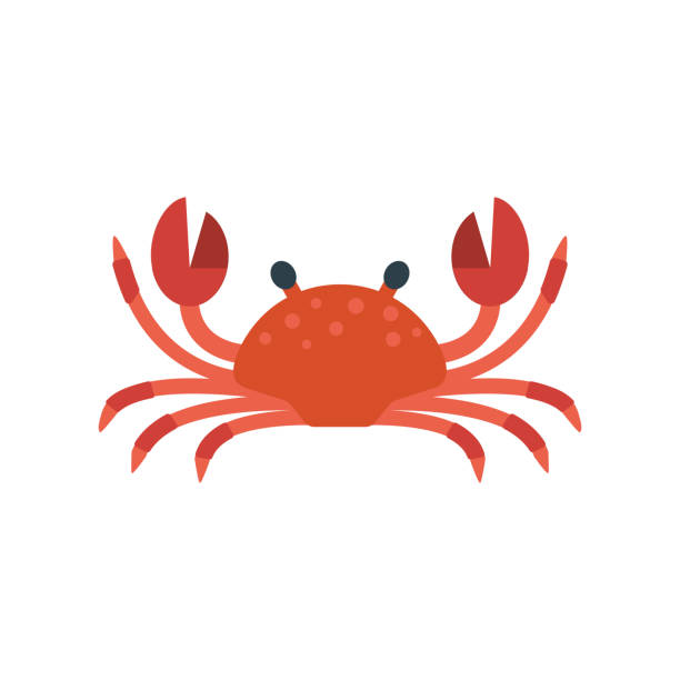 иллюстрация вектора красного краба - crab stock illustrations