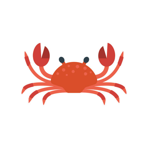 Red crab vector illustration vector art illustration