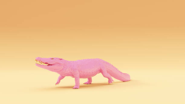 istock Pink Gold Crocodile Warm Cream Background 1200675244
