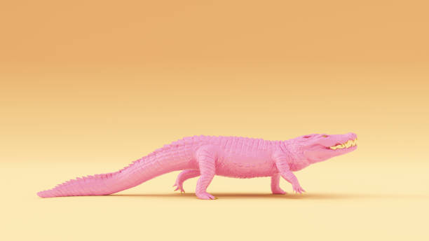 istock Pink Gold Crocodile Warm Cream Background 1200675245