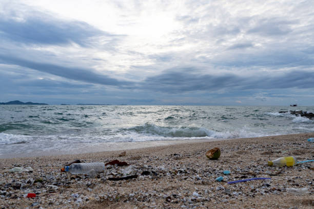 trash caché près de pierres à la plage près de la mer. pas de concept de maladies plastiques et globales. sauvez le monde, gardez un environnement propre. il y a de la place pour le texte. bon fond. - toxic substance spilling pouring bottle photos et images de collection