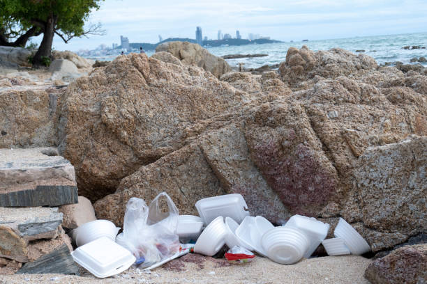 trash caché près de pierres à la plage près de la mer. pas de concept de maladies plastiques et globales. sauvez le monde, gardez un environnement propre. il y a de la place pour le texte. bon fond. - toxic substance spilling pouring bottle photos et images de collection