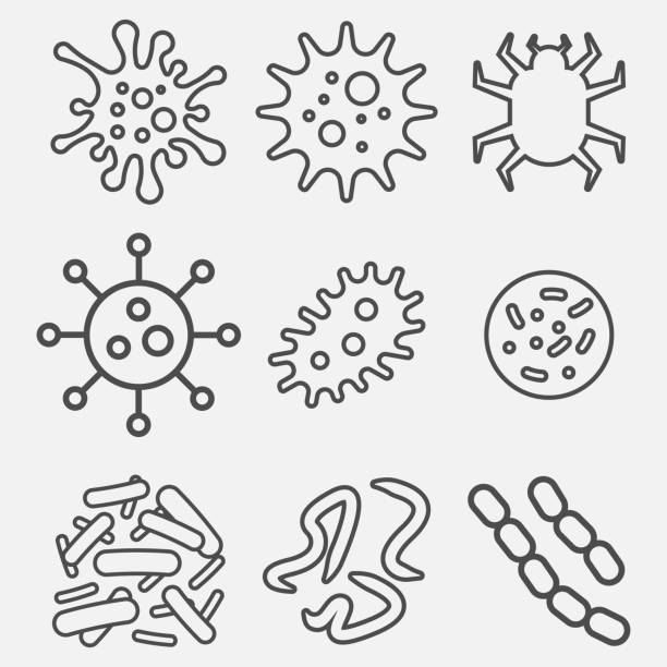 ilustrações, clipart, desenhos animados e ícones de bactérias, superinsetos, ícones do vírus isolados em fundo branco. ilustração do vetor. - hiv cell human cell retrovirus