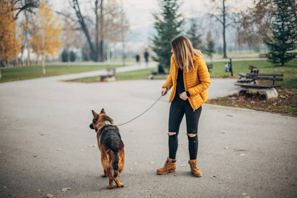 istock Pretty woman with dog 1200684523