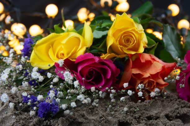 Valentines Day Roses Red Yellow And Orange