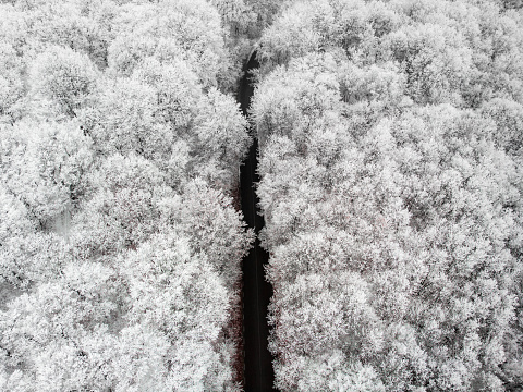 High angle color image, taken by drone, depicting a long straight road surrounded by dense forest covered with snow in the middle of winter. The road runs directly through the centre of the image, with the frozen canopy of the forest either side of the road.