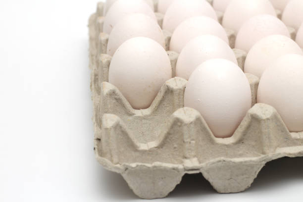 istock Isolated recycle tray with white eggs on a white background. Tray without one egg 1200687480
