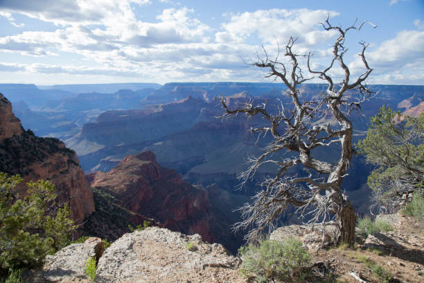 istock Grand canyon national park 1200689328