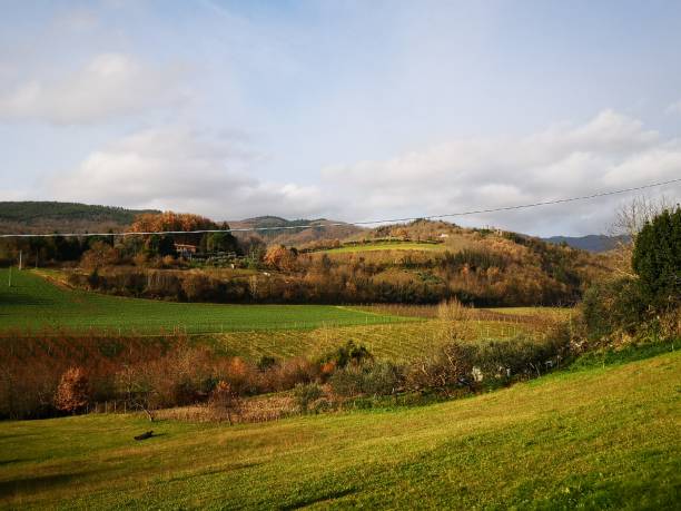 Countryside in Tuscany, Mugello