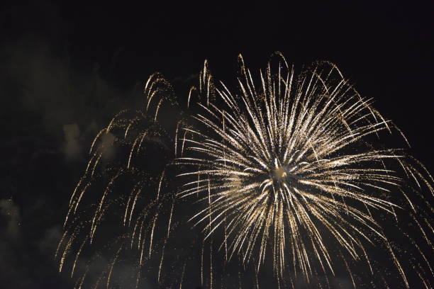 istock Shiny fireworks on the night sky 1200693741