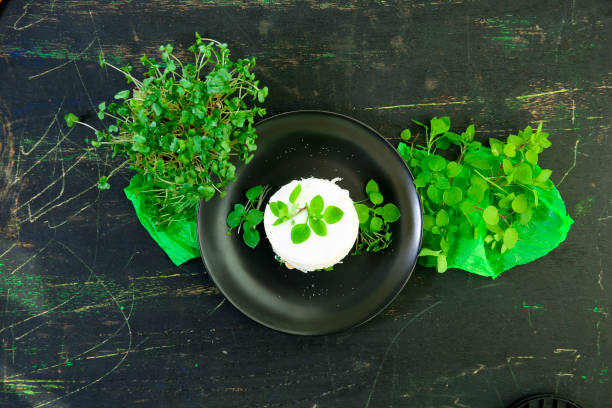 round vegetarian sandwich with fresh  green chickweed leaves and microgreens round vegetarian sandwich with fresh  green chickweed leaves and microgreens stellaria media stock pictures, royalty-free photos & images